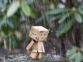 Mơ thấy mưa báo hiệu điềm gì, đánh con nào trúng lớn?