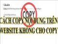 Mách bạn cách copy trang web không cho copy