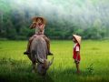 Mơ thấy trâu mang điềm báo tốt hay xấu?