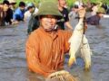 Mơ thấy bắt cá có điềm báo gì? đánh con số nào?