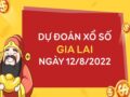 Giờ vàng dự đoán kết quả xổ số Gia Lai ngày 12/8/2022 thứ 6 hôm nay