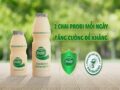 Probi bao nhiêu calo? Uống sữa chua Probi có béo không?