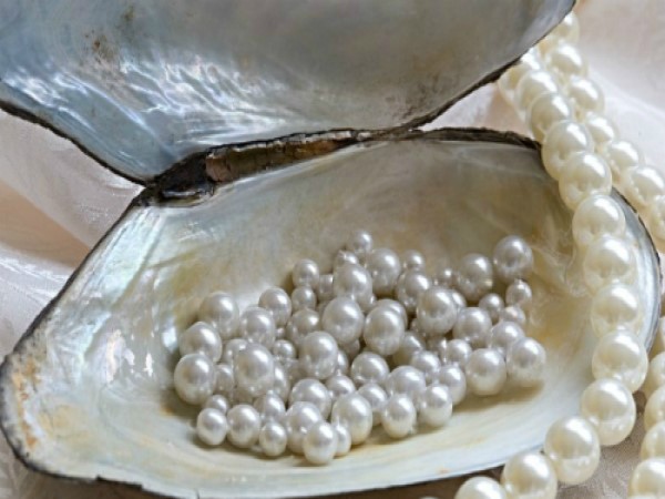Giấc mộng thấy ngọc trai: Dấu hiệu thiên lộc hay điềm dữ
