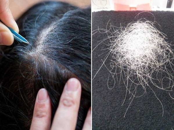 Nằm mơ thấy nhổ tóc bạc có ý nghĩa gì, số gì phát tài